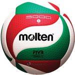 Best Professional Grade Regulation Size 39”x32' Volleyball Steel